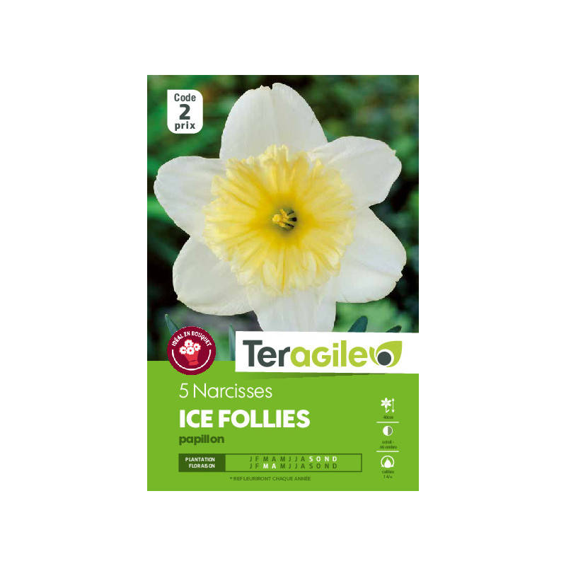 Narcisses ice follies - 5 bulbes à planter de Teragile - produits pour le jardin dans Narcisse - Jonquille en bulbes