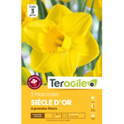Narcisses siecle d'or - 5 bulbes à planter de Teragile - produits pour le jardin dans Narcisse - Jonquille en bulbes