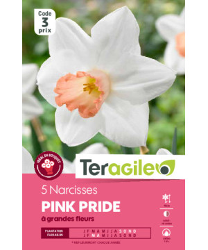 Narcisses pink pride - 5 bulbes à planter de Teragile - produits pour le jardin dans Narcisse - Jonquille en bulbes