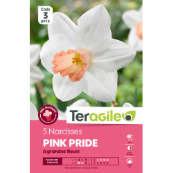 Narcisses pink pride - 5 bulbes à planter de Teragile - produits pour le jardin dans Narcisse - Jonquille en bulbes