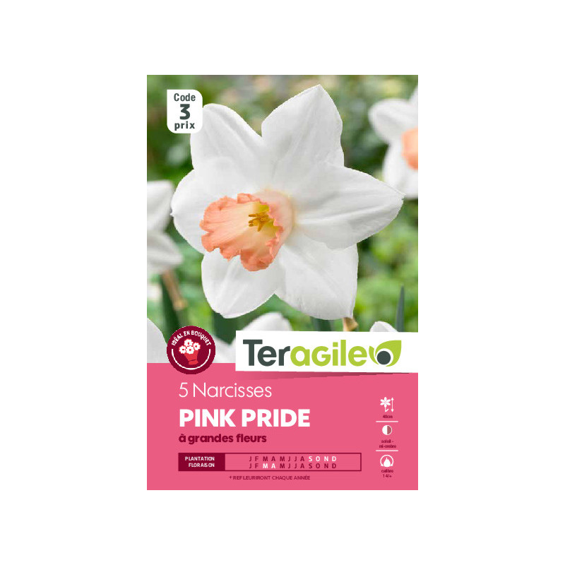 Narcisses pink pride - 5 bulbes à planter de Teragile - produits pour le jardin dans Narcisse - Jonquille en bulbes