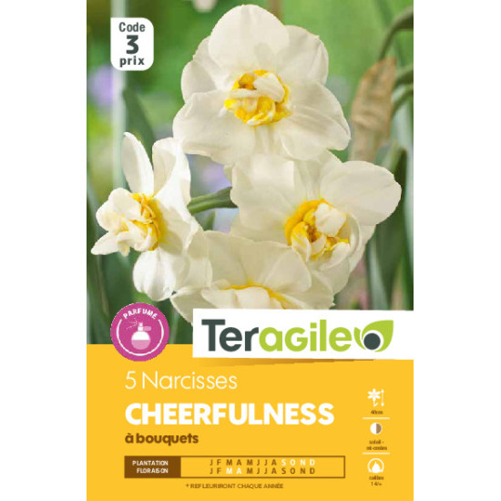 Narcisses cheerfulness - 5 bulbes à planter de Teragile - produits pour le jardin dans Narcisse - Jonquille en bulbes
