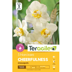 Narcisses cheerfulness - 5 bulbes à planter de Teragile - produits pour le jardin dans Narcisse - Jonquille en bulbes