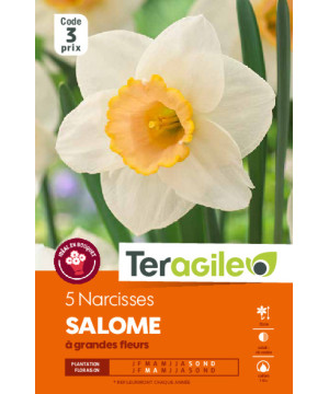Narcisses salome - 5 bulbes à planter de Teragile - produits pour le jardin dans Narcisse - Jonquille en bulbes