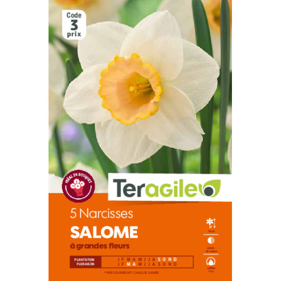 Narcisses salome - 5 bulbes à planter de Teragile - produits pour le jardin dans Narcisse - Jonquille en bulbes