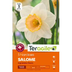 Narcisses salome - 5 bulbes à planter de Teragile - produits pour le jardin dans Narcisse - Jonquille en bulbes
