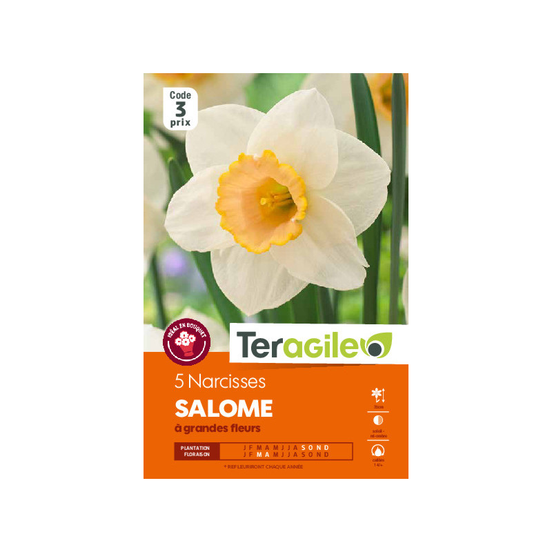 Narcisses salome - 5 bulbes à planter de Teragile - produits pour le jardin dans Narcisse - Jonquille en bulbes