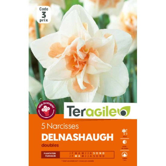 Narcisses delnashaugh - 5 bulbes à planter de Teragile - produits pour le jardin dans Narcisse - Jonquille en bulbes