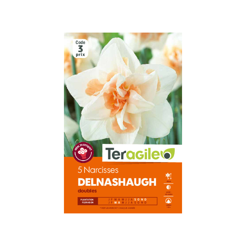 Narcisses delnashaugh - 5 bulbes à planter de Teragile - produits pour le jardin dans Narcisse - Jonquille en bulbes