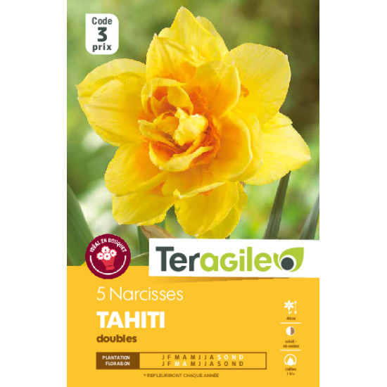 Narcisses tahiti - 5 bulbes à planter de Teragile - produits pour le jardin dans Narcisse - Jonquille en bulbes