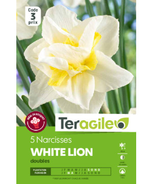 Narcisses white lion - 5 bulbes à planter de Teragile - produits pour le jardin dans Narcisse - Jonquille en bulbes