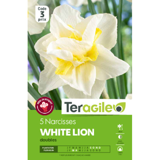 Narcisses white lion - 5 bulbes à planter de Teragile - produits pour le jardin dans Narcisse - Jonquille en bulbes