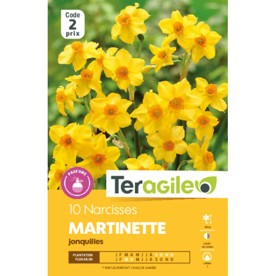 Narcisses jonq. martinette - 10 bulbes à planter de Teragile - produits pour le jardin dans Narcisse - Jonquille en bulbes