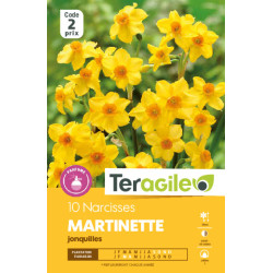 Narcisses jonq. martinette - 10 bulbes à planter de Teragile - produits pour le jardin dans Narcisse - Jonquille en bulbes