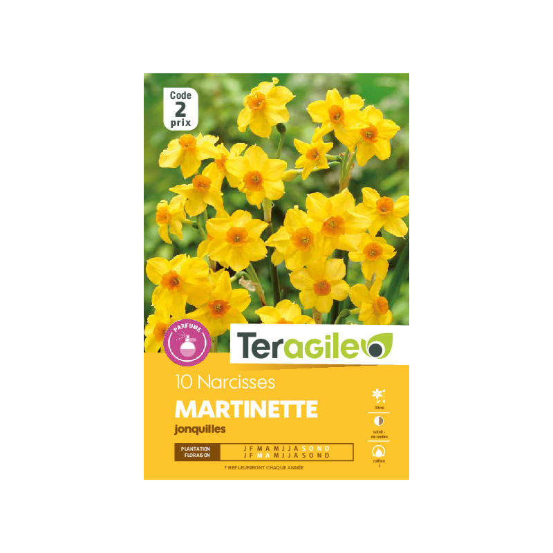 Narcisses jonq. martinette - 10 bulbes à planter de Teragile - produits pour le jardin dans Narcisse - Jonquille en bulbes