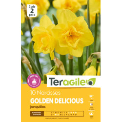 Narcisses golden delicious - 10 bulbes à planter de Teragile - produits pour le jardin dans Narcisse - Jonquille en bulbes