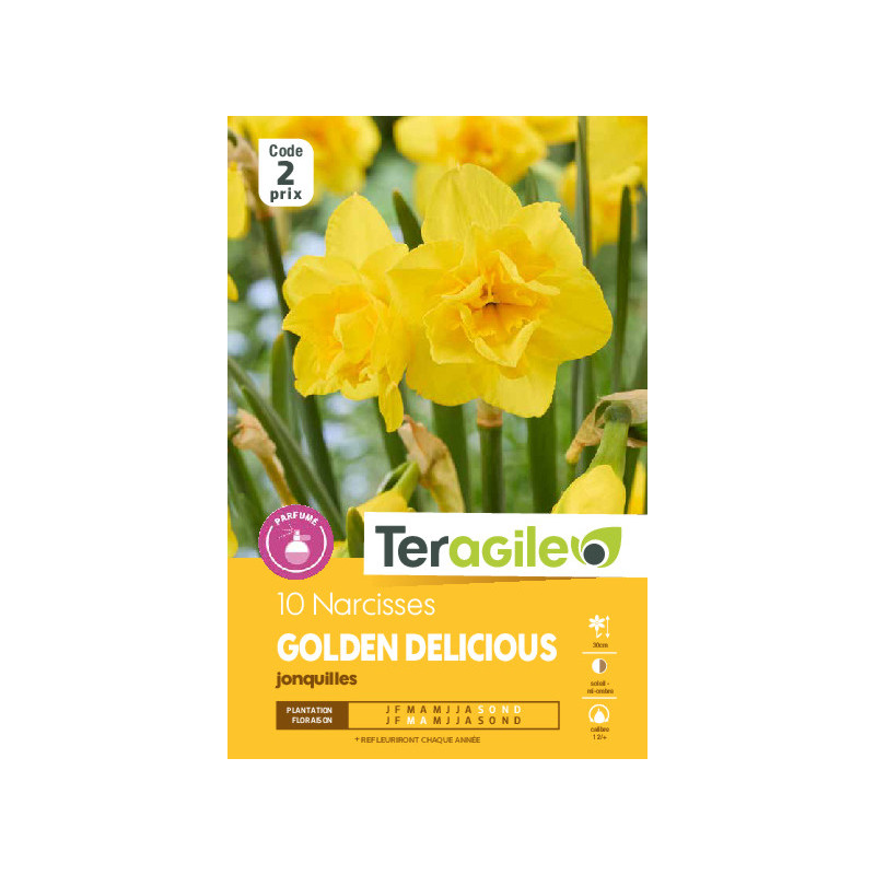 Narcisses golden delicious - 10 bulbes à planter de Teragile - produits pour le jardin dans Narcisse - Jonquille en bulbes