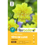Narcisses tete de luxe - 10 bulbes à planter de Teragile - produits pour le jardin dans Narcisse - Jonquille en bulbes