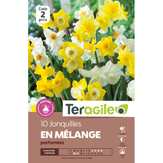 Narcisses jonquilles en melange - 10 bulbes à pl de Teragile - produits pour le jardin dans Narcisse - Jonquille en bulbes