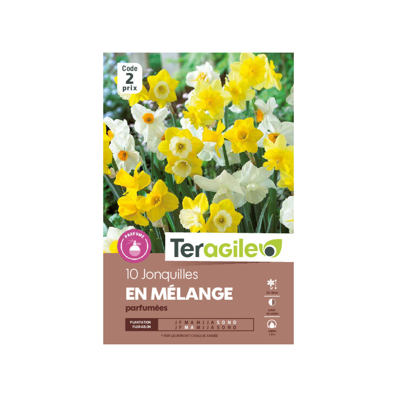Narcisses jonquilles en melange - 10 bulbes à pl de Teragile - produits pour le jardin dans Narcisse - Jonquille en bulbes