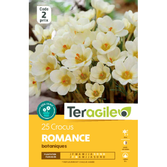 Crocus romance - 25 bulbes à planter de Teragile - produits pour le jardin dans Crocus en bulbes