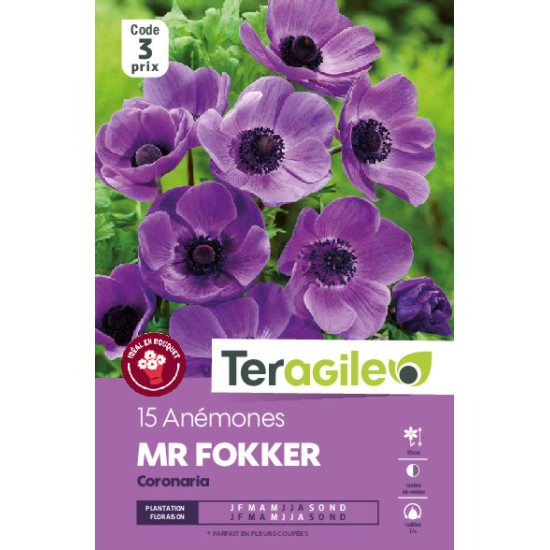 Anemones mr. fokker - 15 bulbes à planter de Teragile - produits pour le jardin dans Anémone en bulbes