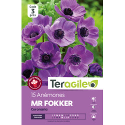 Anemones mr. fokker - 15 bulbes à planter de Teragile - produits pour le jardin dans Anémone en bulbes