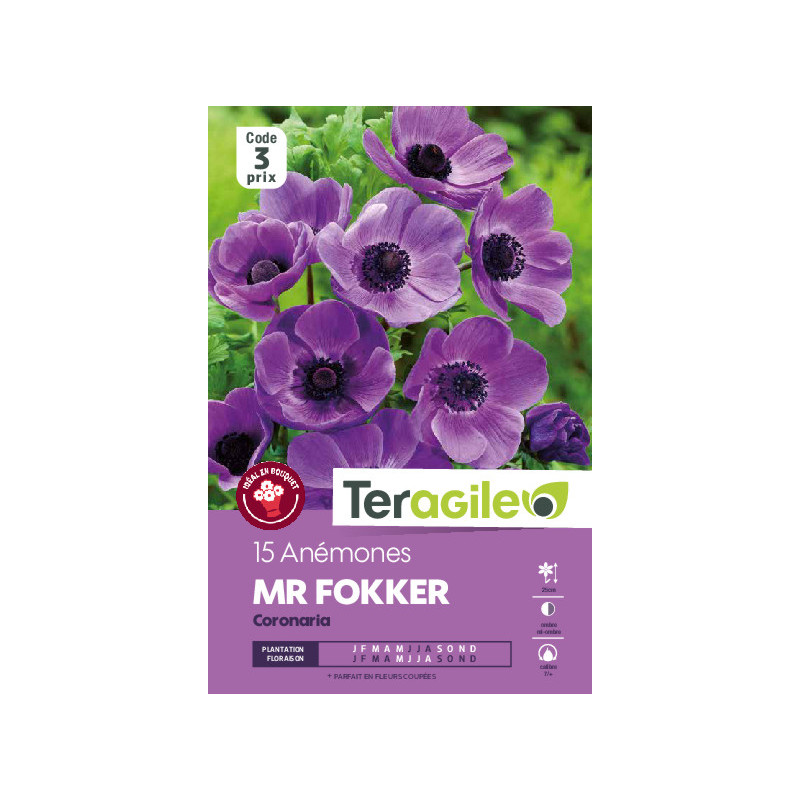 Anemones mr. fokker - 15 bulbes à planter de Teragile - produits pour le jardin dans Anémone en bulbes