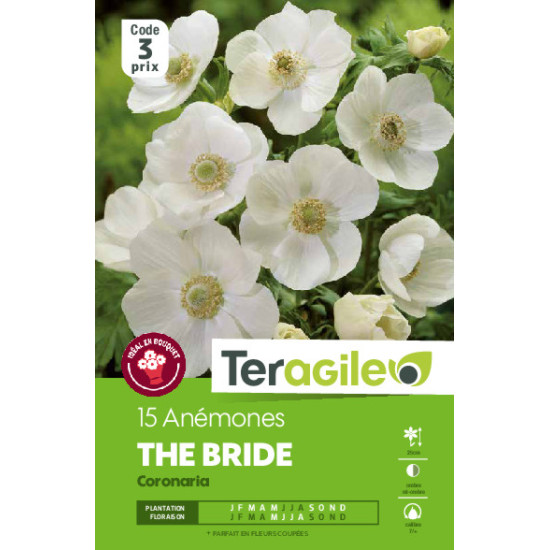 Anemones the bride - 15 bulbes à planter de Teragile - produits pour le jardin dans Anémone en bulbes