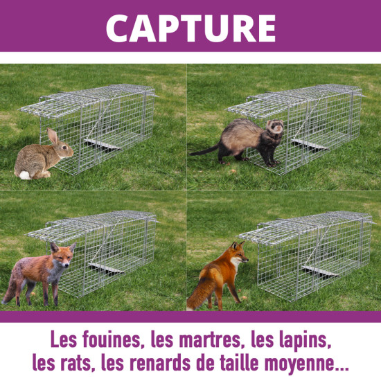 Nasse xxl pliable à lapins renards fouines martr de Acto dans C050