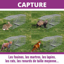 Nasse xxl pliable à lapins renards fouines martr de Acto dans C050