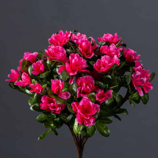 Bouquet d'azalee 28 tiges h41cm de Fleur artificielle dans Fleur artificielle