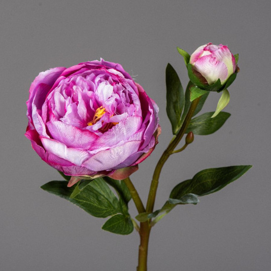 Tige de pivoine h57cm pourpre de Fleur artificielle dans Fleur artificielle