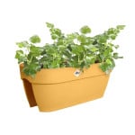 Jardiniere vibia campana bridge 60cm jaune miel de Elho - Pot en plastique de qualité dans E029