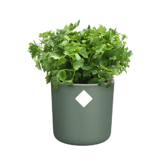 Pot happy herbs 14cm leaf green de Elho - Pot en plastique de qualité dans E029