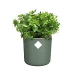 Pot happy herbs 14cm leaf green de Elho - Pot en plastique de qualité dans E029