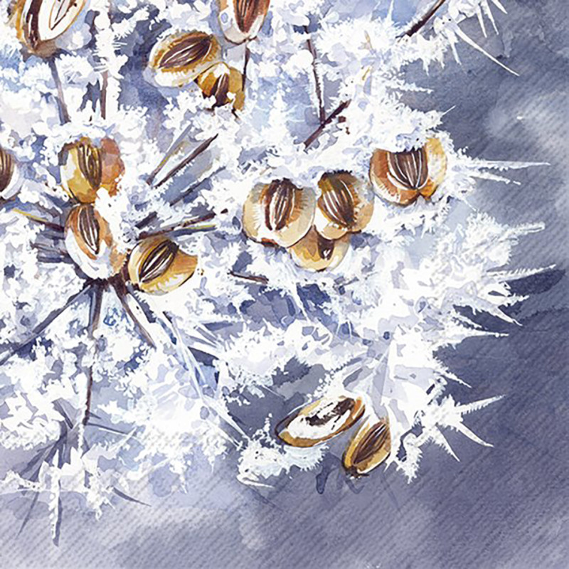 Serviette Lunch Fruits Givrés de Jardinerie Bordeaux Libourne Gironde dans Serviette en papier