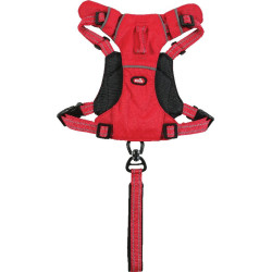 /harnais easyride xs rouge avec laisse enrouleur de Zolux - Produit pour animaux dans Harnais pour chien