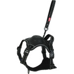 /harnais easyride m noir avec laisse enrouleur de Zolux - Produit pour animaux dans Harnais pour chien
