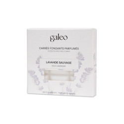 Carrés fondants parfumés lavande sauvage de Galeo- Parfums-Savons-aromathérapie dans G014