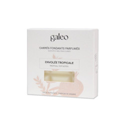 Carrés fondants parfumés envolée tropicale de Galeo- Parfums-Savons-aromathérapie dans G014