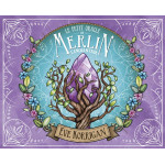 Le petit oracle de merlin l' enchanteur de Herboristerie et Esotérisme à Libourne dans 🃏 Livres ésotériques, tarots, oracles