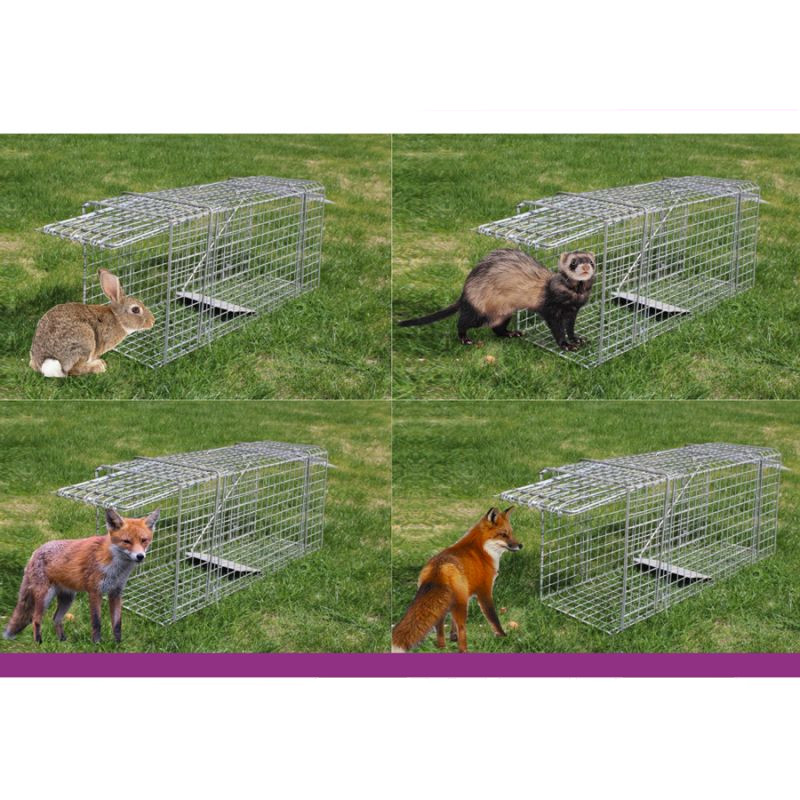 Nasse xxl pliable à lapins renards fouines martr