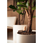 Smart pebble testeur surveillance de sol connect