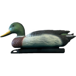 Déco bassin canard colvert mâle de Superfish - Aquadistri - accessoires pour aquarium et bassin dans A075