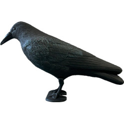 Déco bassin corbeau de Superfish - Aquadistri - accessoires pour aquarium et bassin dans A075