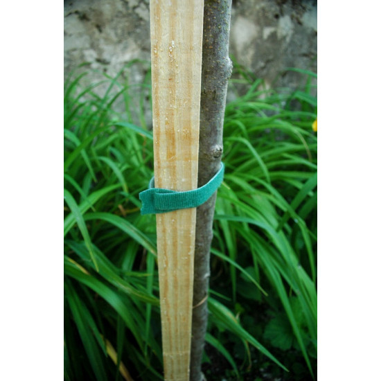 25 liens predecoupes 20mm x 23cm de Jany France dans J007