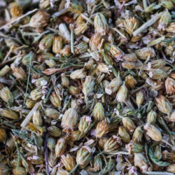 Achillee millefeuille bio sommite fleurie 35g de Herboristerie et Esotérisme à Libourne dans 🫖 Thés, tisanes et infusions