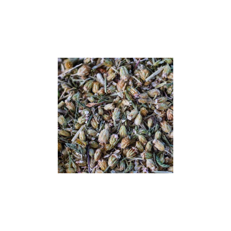 Achillee millefeuille bio sommite fleurie 35g de Herboristerie et Esotérisme à Libourne dans 🫖 Thés, tisanes et infusions