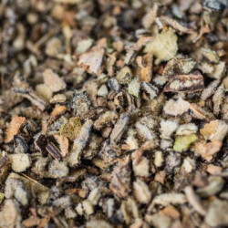 Bouillon blanc bio partie aerienne 40g de Herboristerie et Esotérisme à Libourne dans 🫖 Thés, tisanes et infusions